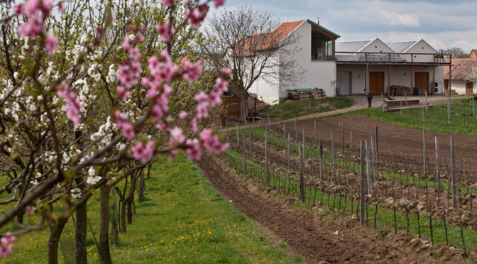 2014 Vinařství Krásná Hora, Pinot Noir Terrior, Moravia, Tjekkiet