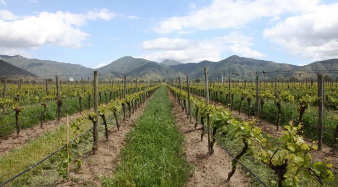 2016 Viñedos Emiliana, Chardonnay Organic Reserva, Casablanca Valley, Chile