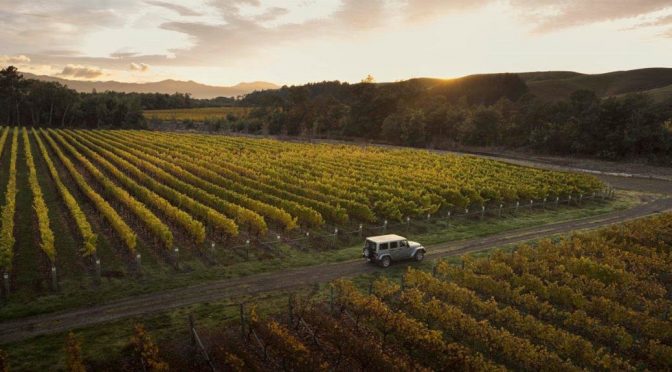 2017 Sacred Hill Vineyards, Chardonnay Reserve, Hawkes Bay, New Zealand