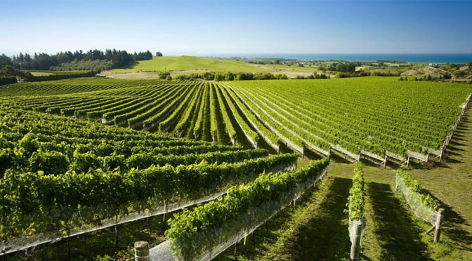 2017 Supernatural Wine Co., Pétillant Naturel The-Super-Nat, Hawkes Bay, New Zealand