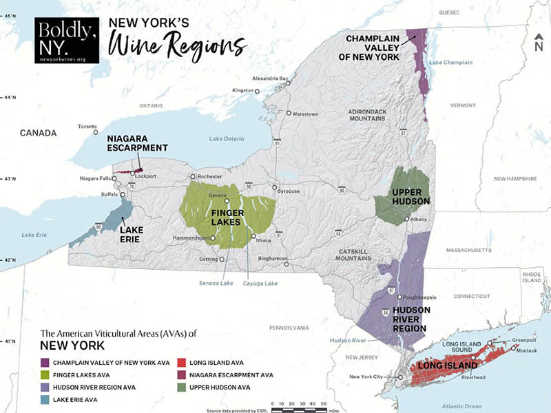 Grund Kommentér Kritik I'm in a New York State of Wine ... Cool Climate Wines Masterclass -  Houlbergs Vinblog