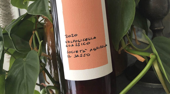 2020 Società Agricola il Sasso, Valpolicella Classico Bio, Veneto, Italien