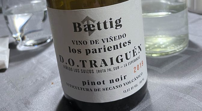 2019 Vinos Baettig, Pinot Noir los Parientes, Traiguén, Chile