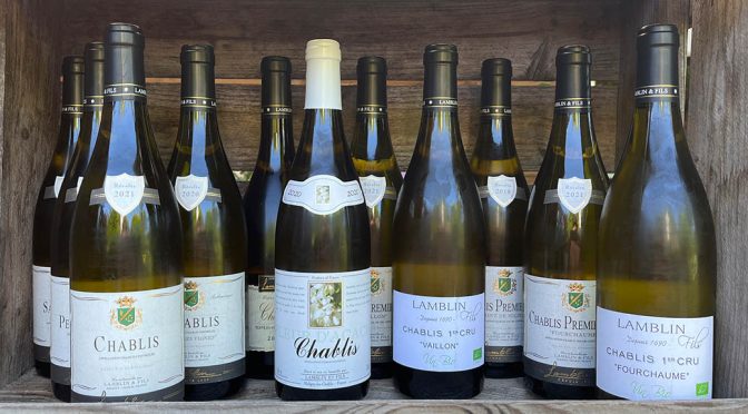 Houlberg tester knastørre Chablis vine … fra det traditionelle vinhus Lamblin & Fils