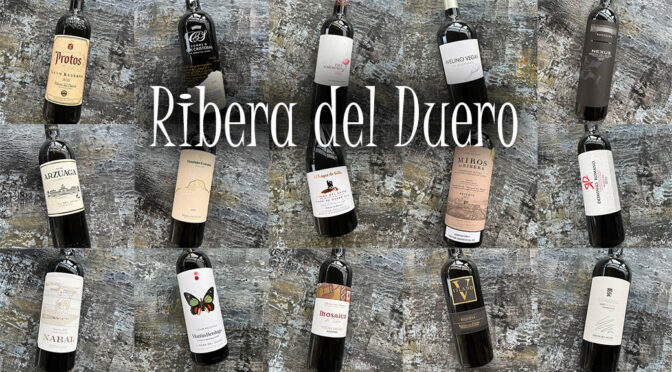 Houlberg deltager i uofficiel minitest af 15 Ribera del Duero vine