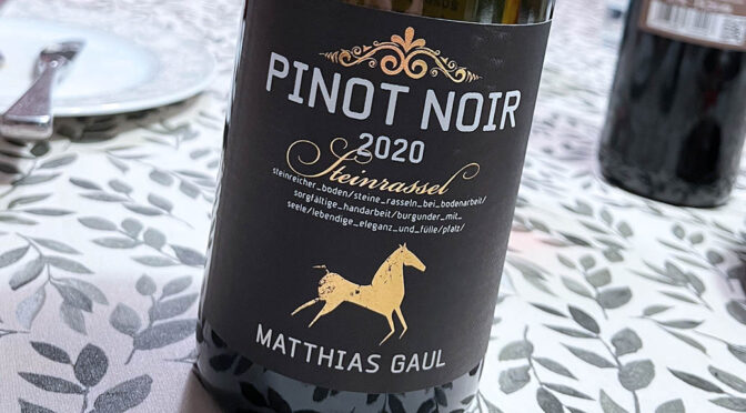 2020 Weingut Mathias Gaul, Pinot Noir Steinrassel, Pfalz, Tyskland
